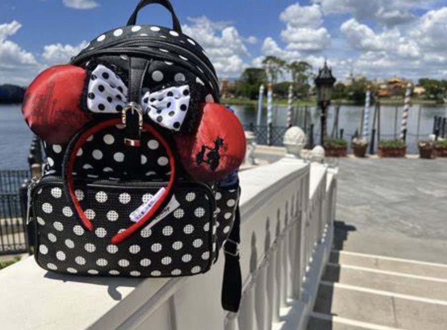 can you take a backpack into disney world