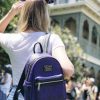 Can You Take a Backpack into Disney World?