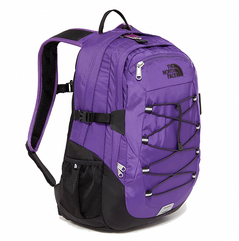 the north face borealis backpack