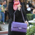 lisa vanderpump handbag